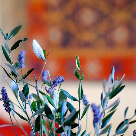 Poggio Monte مزرعة للإقامة *