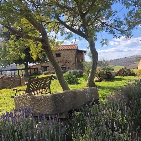 Poggio Monte * ساتورنيا