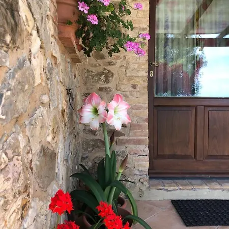 Poggio Monte مزرعة للإقامة