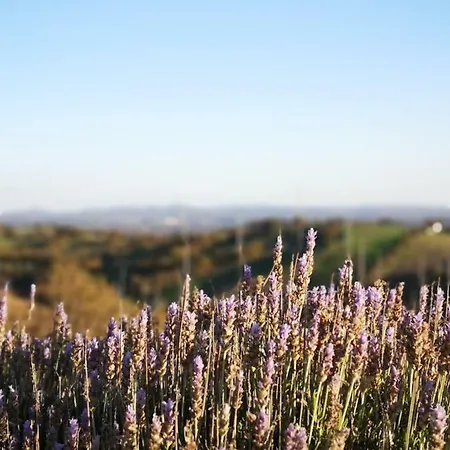 Poggio Monte مزرعة للإقامة *
